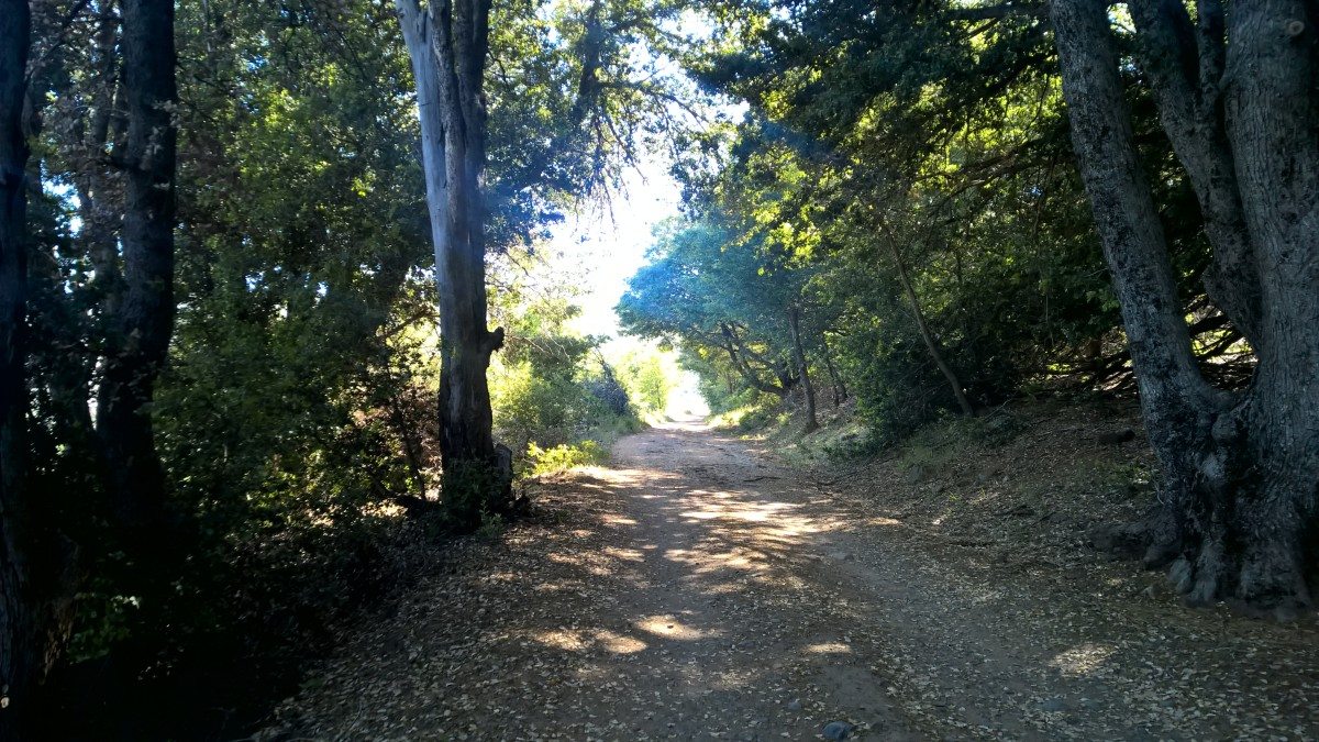 Hiking in Cleveland National Forest