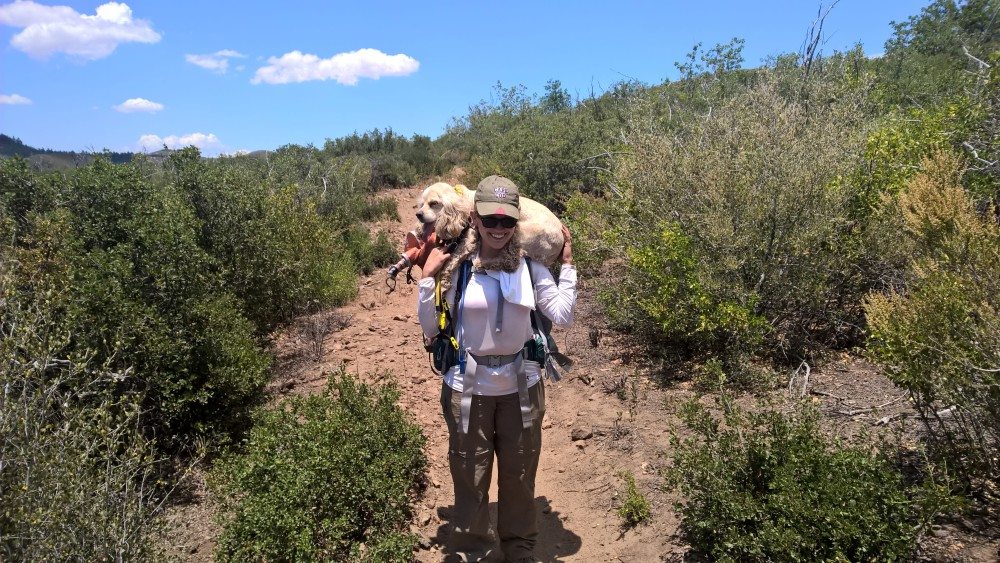 Staying in Shape After Your Hike