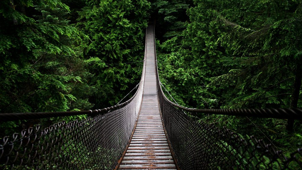 Hiking North America’s Most Frightening Stairs & Bridges