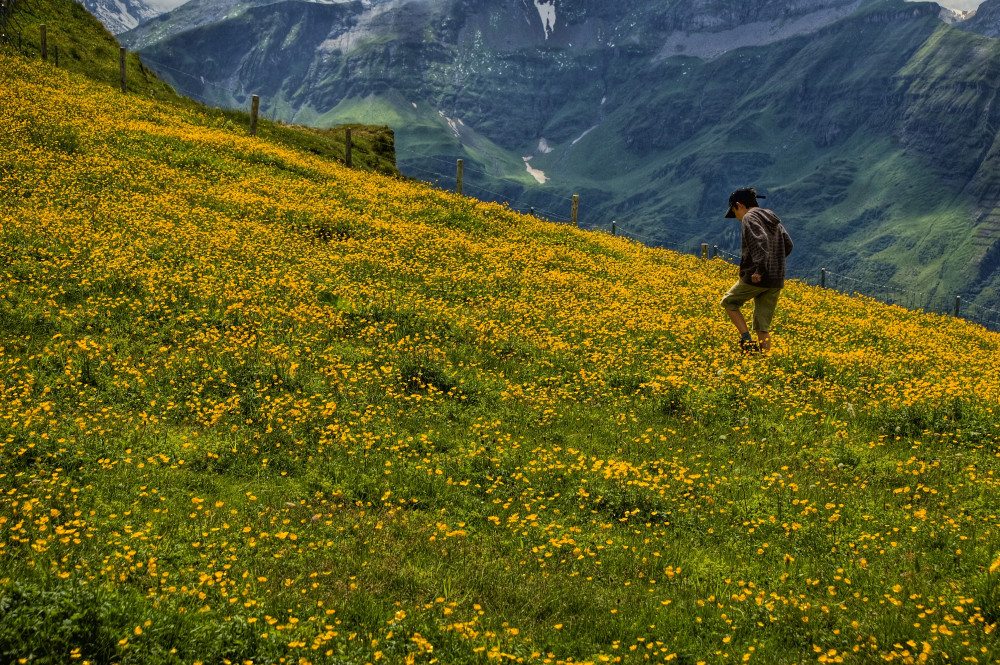 7 Beautiful Day Hikes to do This Spring