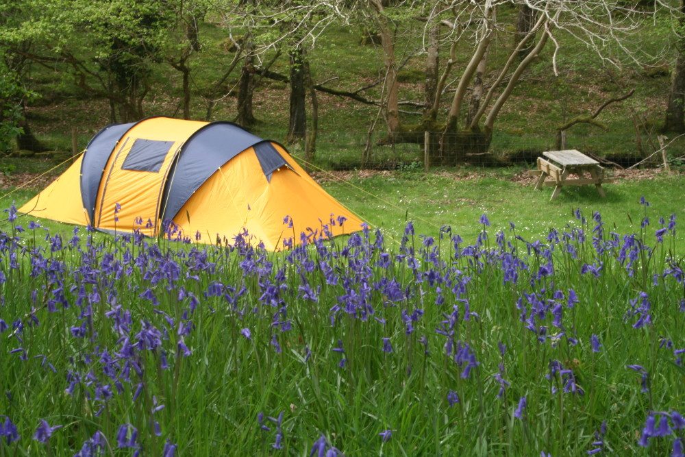 10 Reasons to Camp in Spring vs. Summer