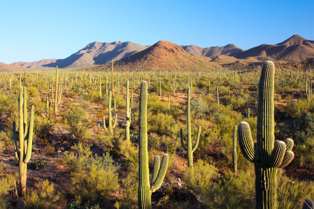 7 Places to Hike Before It Gets Too Hot