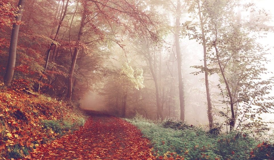 8 Reasons Why Fall is the Best Time to Hike