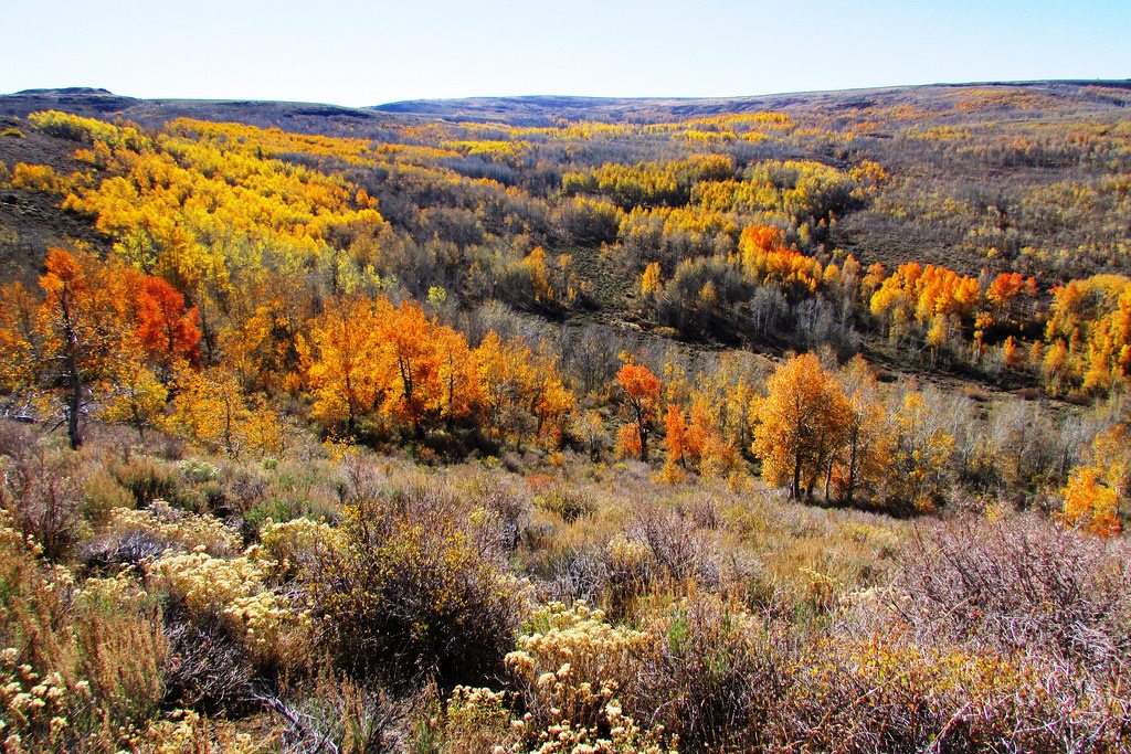 6 Amazing Hikes to See Fall Foliage