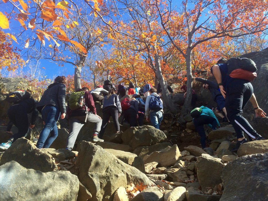 Conservation Officials Are Urging People to Stop Hiking the Adirondacks