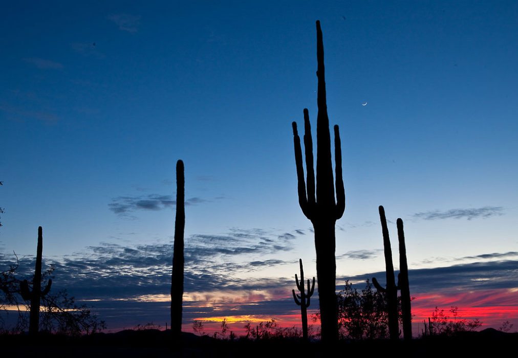 Don’t Like the Cold? Escape Winter Hiking in These National Parks