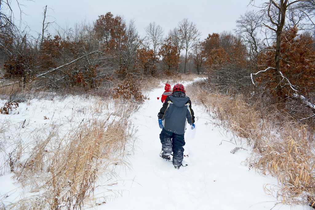 The Best Snowshoes On The Market from 5 Different Brands