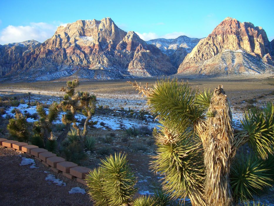 The Surprising Hiking Trails Around Las Vegas